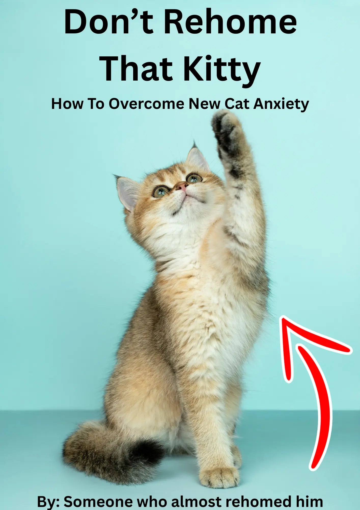 How To Overcome New Cat Anxiety PDF — New Cat Owner Guide